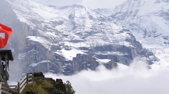 Articolo svizzera