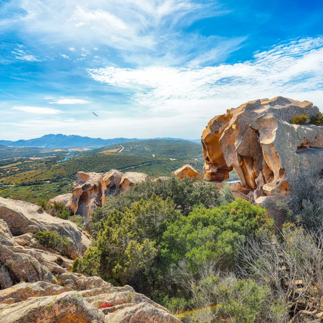 Sardegna - shutterstock_2627082739