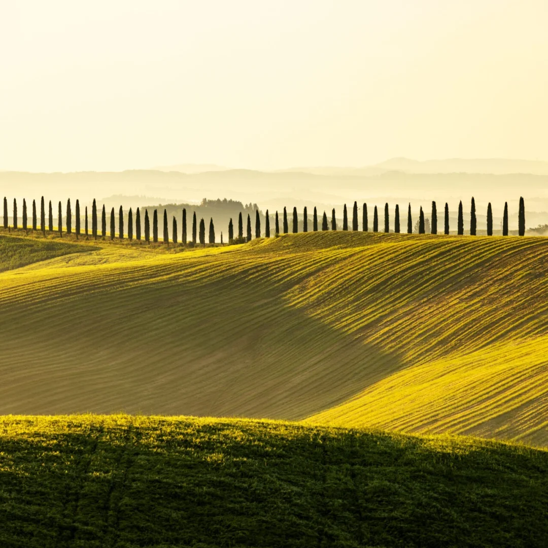 Toscana - shutterstock_2506267665