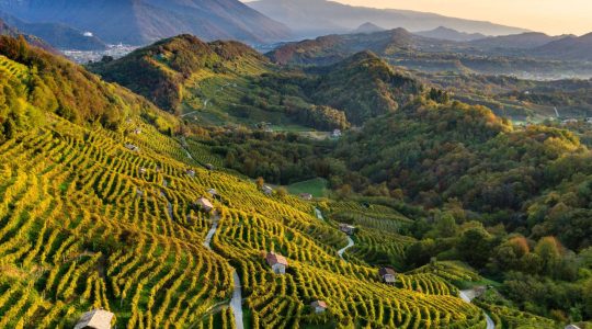 colline-conegliano-valdobbiadene