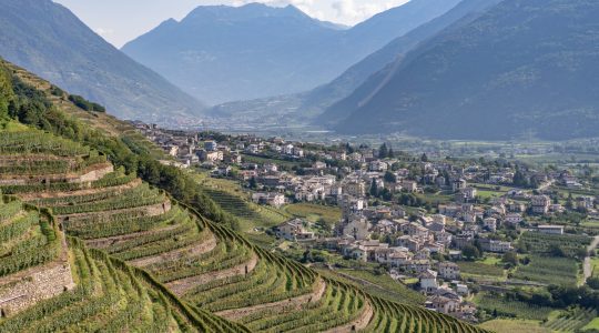 Bianzone is a small village in the Valtelline – a valley in the Lombardy region of northern Italy, bordering Switzerland. The Valtelline region is known for its wines and food.
